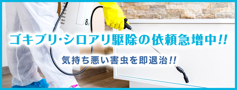 気持ち悪い害虫を即退治！！