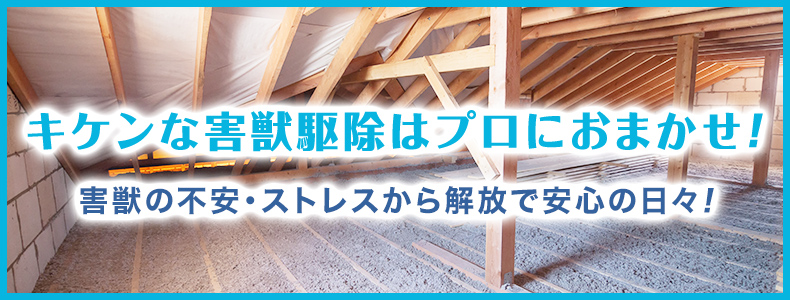 危険な害獣駆除はプロにお任せください！